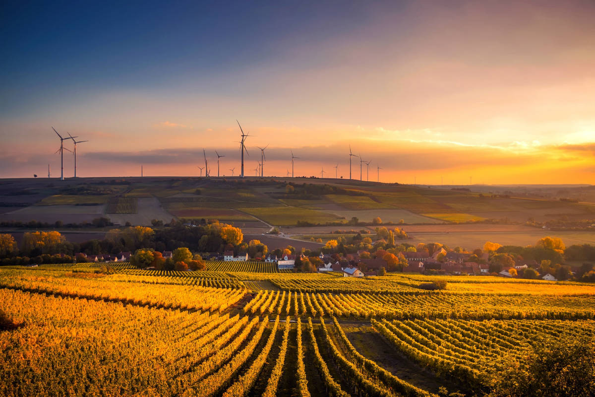 farmer's field at sunset